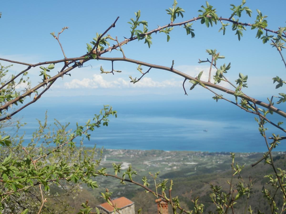 Sintrivanis Mountain Ano Skotina Buitenkant foto