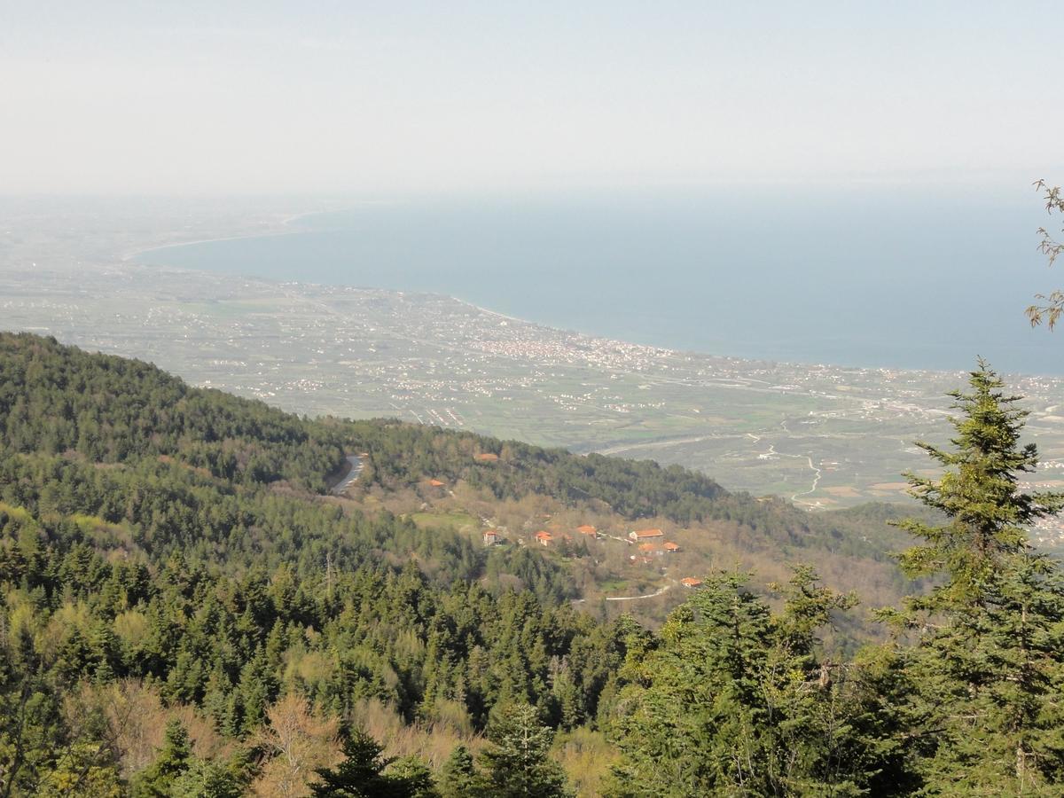 Sintrivanis Mountain Ano Skotina Buitenkant foto
