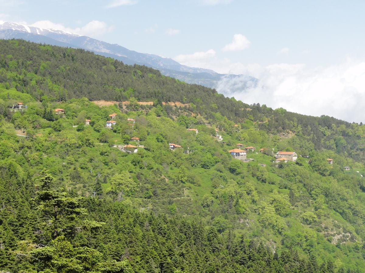 Sintrivanis Mountain Ano Skotina Buitenkant foto